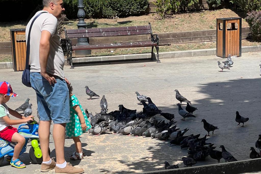 Și, totuși, câmpinenii hrănesc în continuare porumbeii... Spre bucuria copiilor și disperarea autorităților!