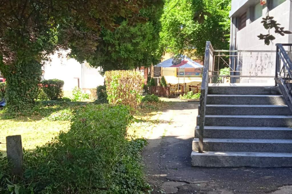 Primăria Câmpina a curățat pasajul pietonal de lângă Poșta veche