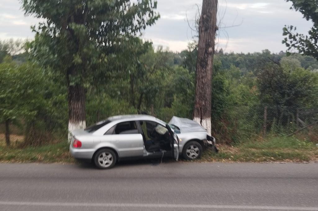 Accident la Zorile. Un Audi a lovit o căruță și s-a oprit într-un copac