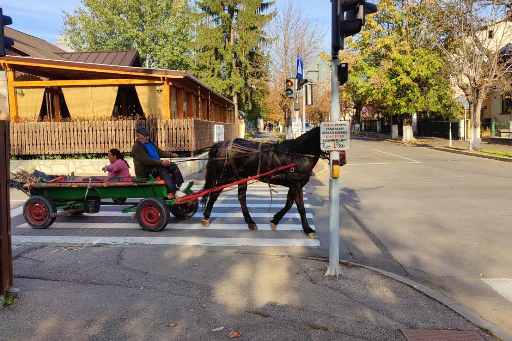 Câmpina, oraș european, mileniul III. Cu căruța, la bulevard!