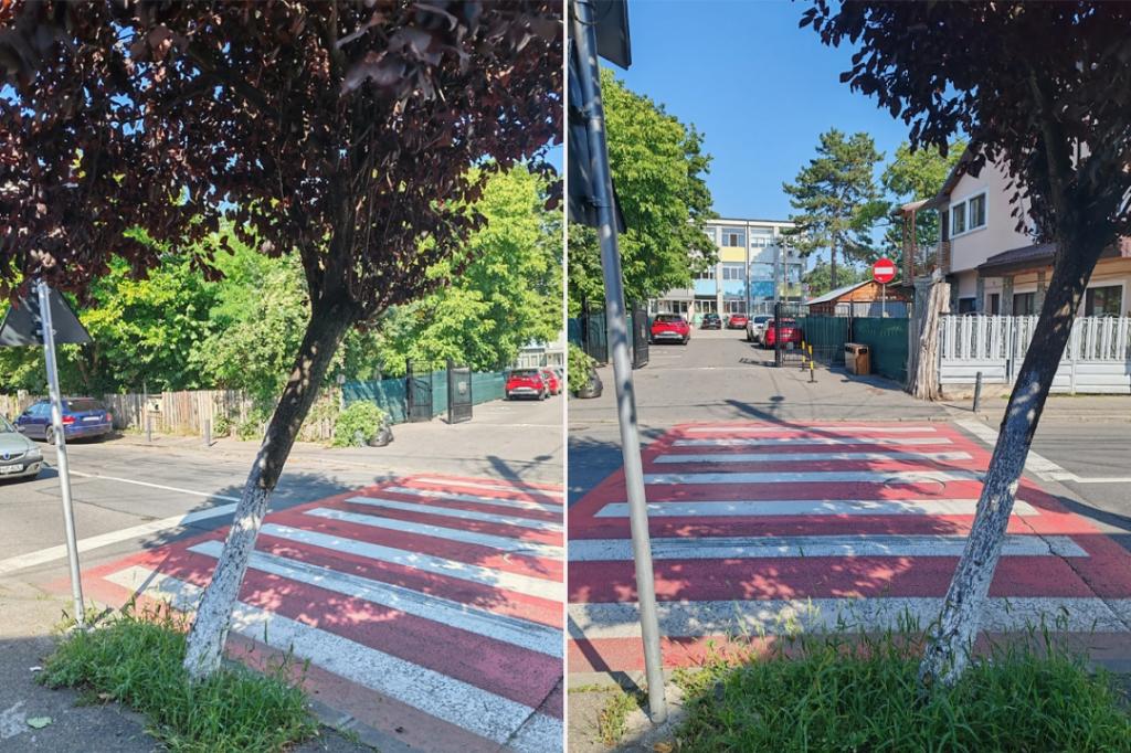 La Câmpina, o trecere de pietoni care se oprește într-un... copac!