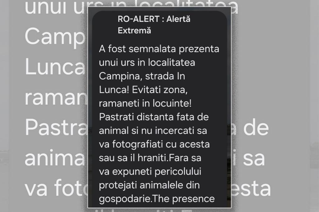 Alertă de urs în Câmpina, zona În Luncă
