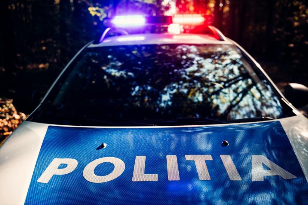 Petrecerea de vineri seara de pe Strada Maramureș s-a soldat cu... o amendă