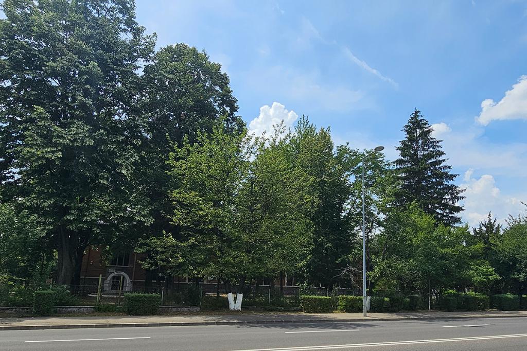 Spațiul verde din fața Căminului Petrol din Câmpina va deveni un parc deschis publicului larg