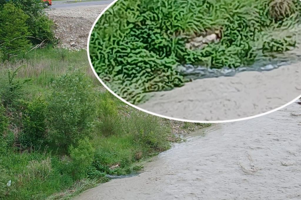 În zona Câmpina, o apă dubioasă se scurge în râul Prahova