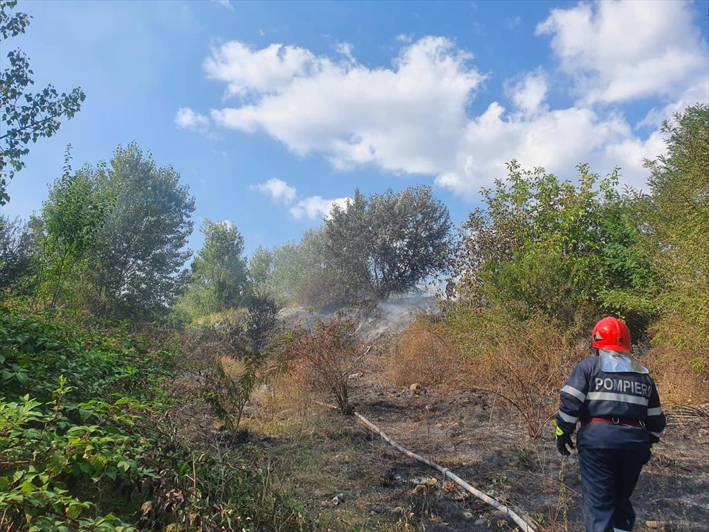 Incendiu la rampa de gunoi de la Bănești