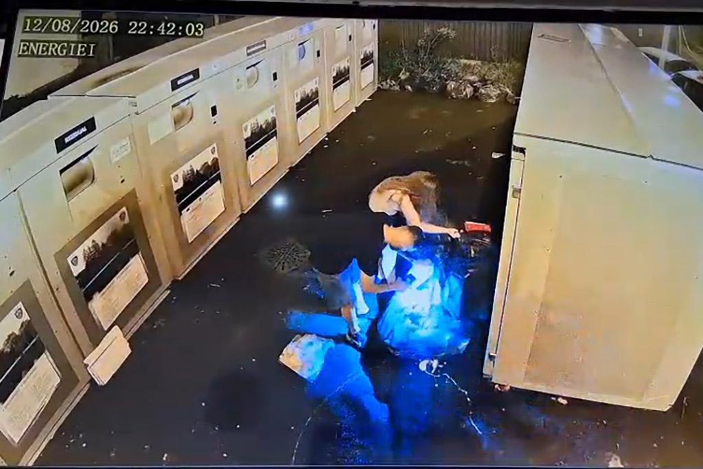 Poliția Locală Câmpina a aplicat 293 sancțiuni pentru nerespectarea normelor privind depozitarea deșeurilor