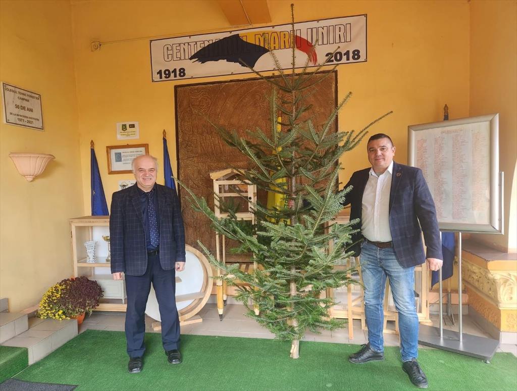Consilierul local Costel Filip a donat brazi mai multor instituții publice din Câmpina