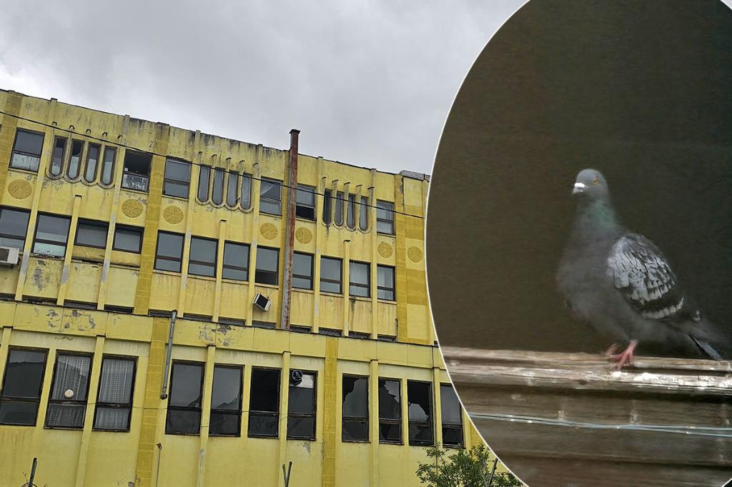 Fostul sediu administrativ al Turnătoriei Câmpina - degradare, geamuri sparte, un loc părăsit de oameni și invadat de porumbei