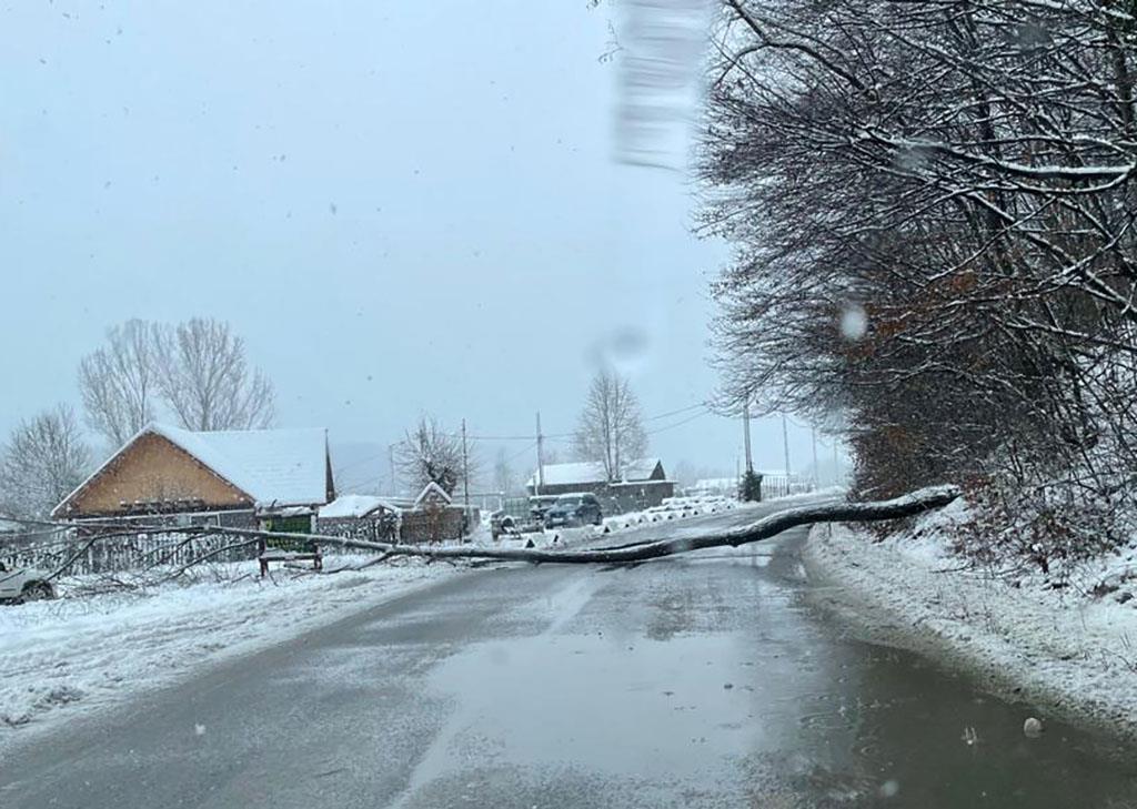 Efectele primei ninsori: sute de familii din comunele limitrofe Câmpinei au rămas fără curent, copac căzut pe Șoseaua Paltinu