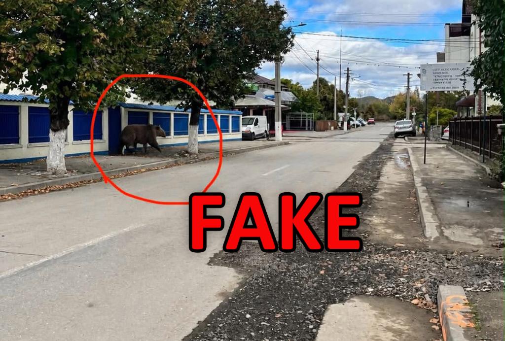 Pe strada Cuza din Câmpina, NU a fost niciun urs. Cei care au apelat la 112 primiseră o fotografie realizată cu IA