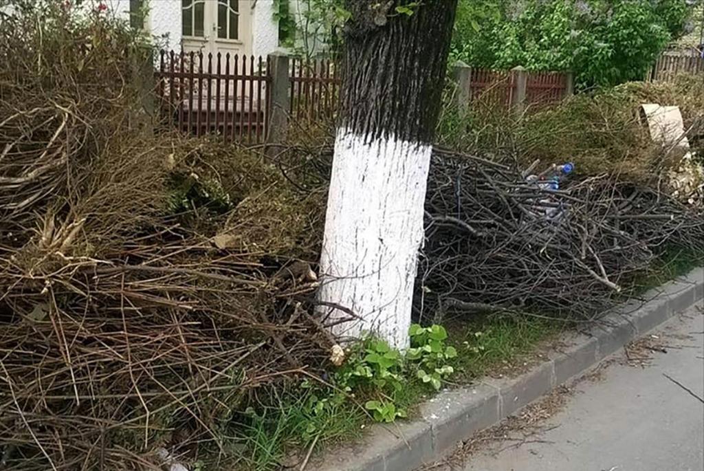 Programul de colectare a deșeurilor vegetale în municipiul Câmpina