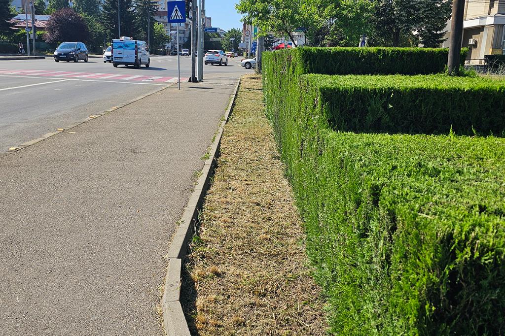 Doar trei oameni asigură toaletarea vegetației din Câmpina