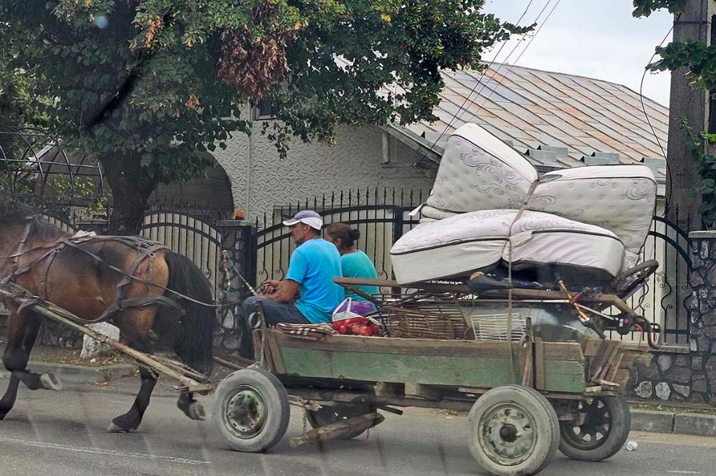 Au revenit căruțele pe străzile Câmpinei