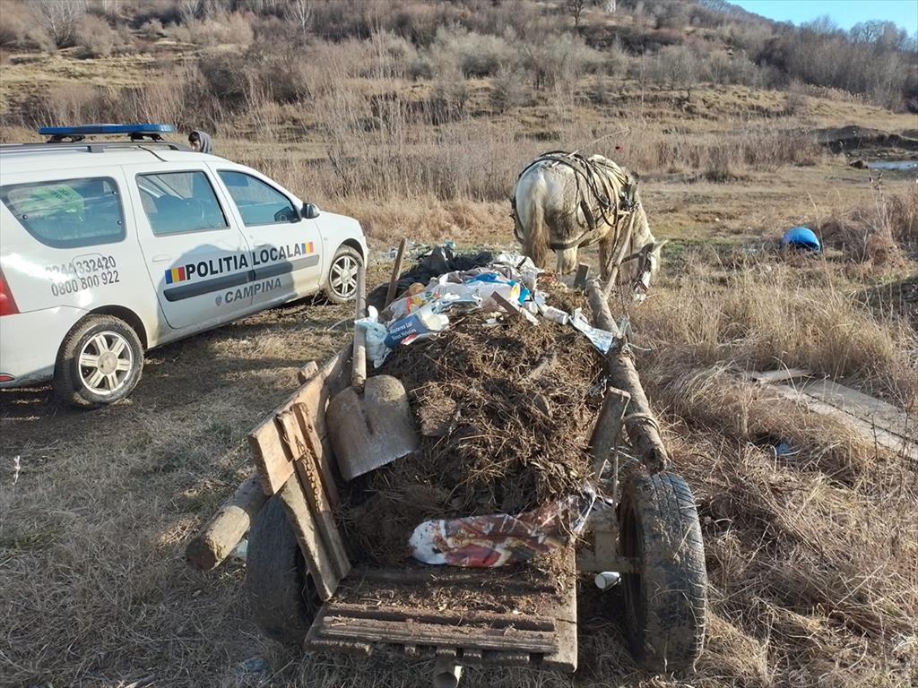 Sute de amenzi date de Poliția Locală Câmpina, în anul 2022, pentru aruncarea gunoiului pe domeniul public