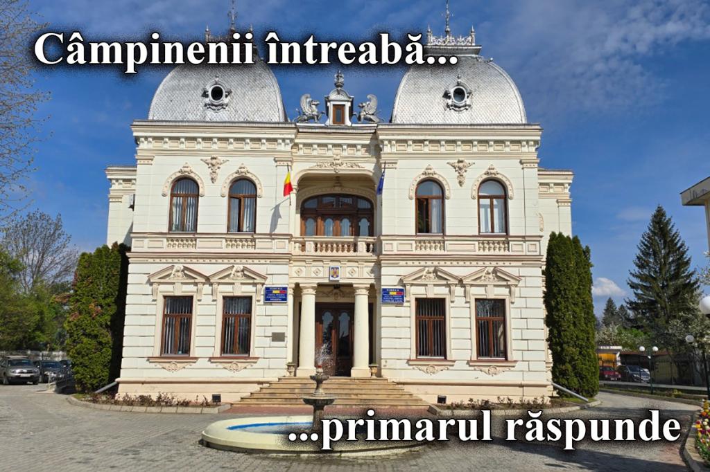 Câmpinenii întreabă... primarul răspunde. Ce putem face cu cadavrele animalelor de companie?