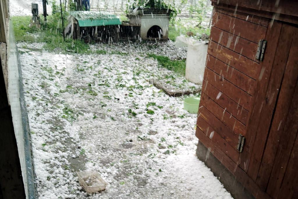 Grindină, ploi torențiale și vânt puternic în mai multe localități din Prahova. Ziua tuturor codurilor...