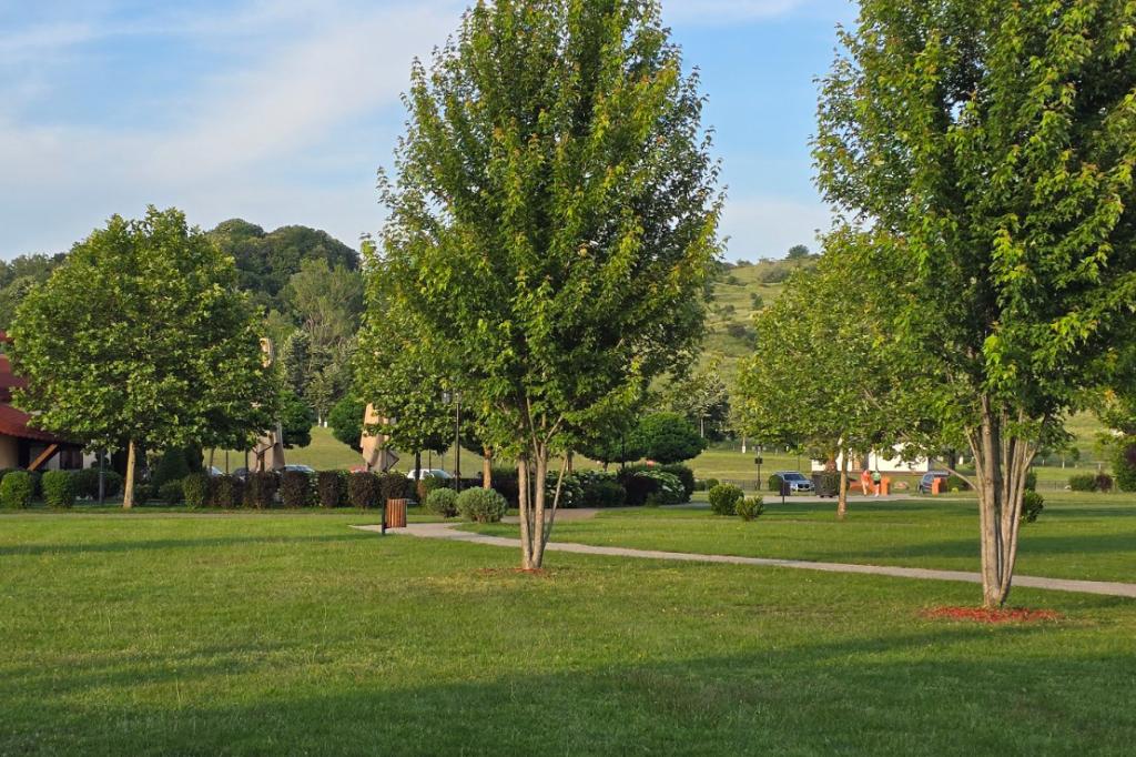 Evenimentul de 1 Iunie, din Parcul Soceram, se amână din cauza condițiilor meteorologice nefavorabile