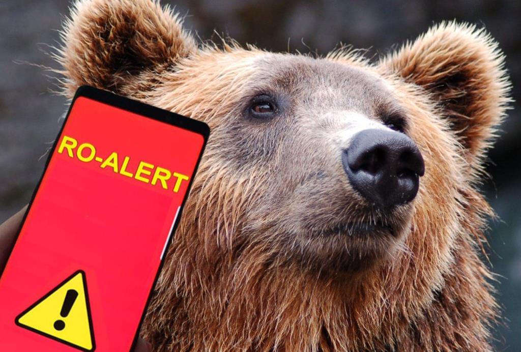 Mesaj RO-ALERT la Valea Doftanei privind prezența unui urs în zonele populate