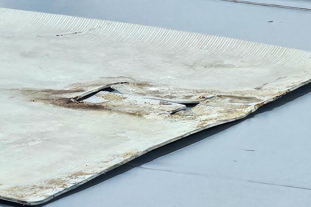 La doi ani de la inaugurare, sala de sport de la Școala ”B.P. Hasdeu” din Câmpina nu poate fi folosită!