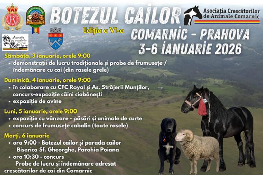 Botezul cailor, la Comarnic, în perioada 3-6 ianuarie