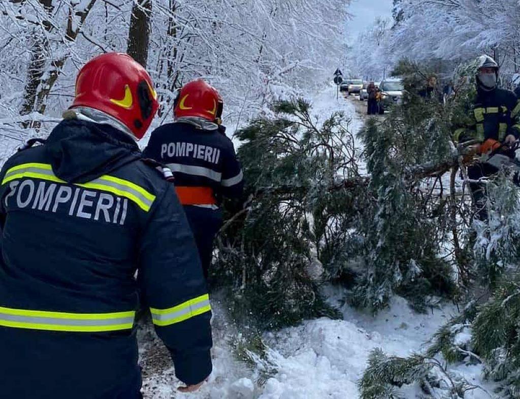 Pompierii au intervenit la Câmpina pentru degajarea unui copac căzut pe Strada Podului