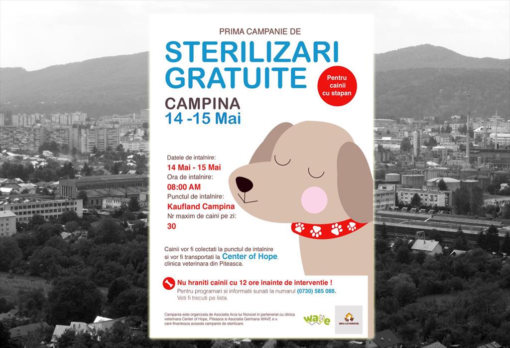 La Câmpina va fi organizată prima campanie de sterilizare gratuită a câinilor cu stăpân. Finanțarea va fi asigurată de o fundație din Germania