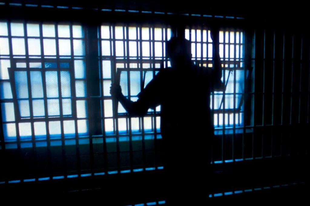 Un prahovean a fost arestat și va fi cercetat în Germania pentru comiterea a 15 furturi deosebit de grave