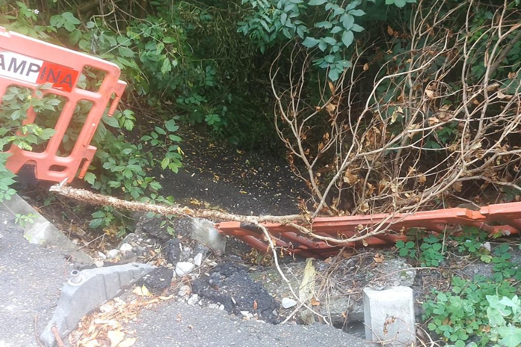Pe Strada Podului, în zona Bulevardului - o alunecare de teren acoperită de vegetație, un mare pericol