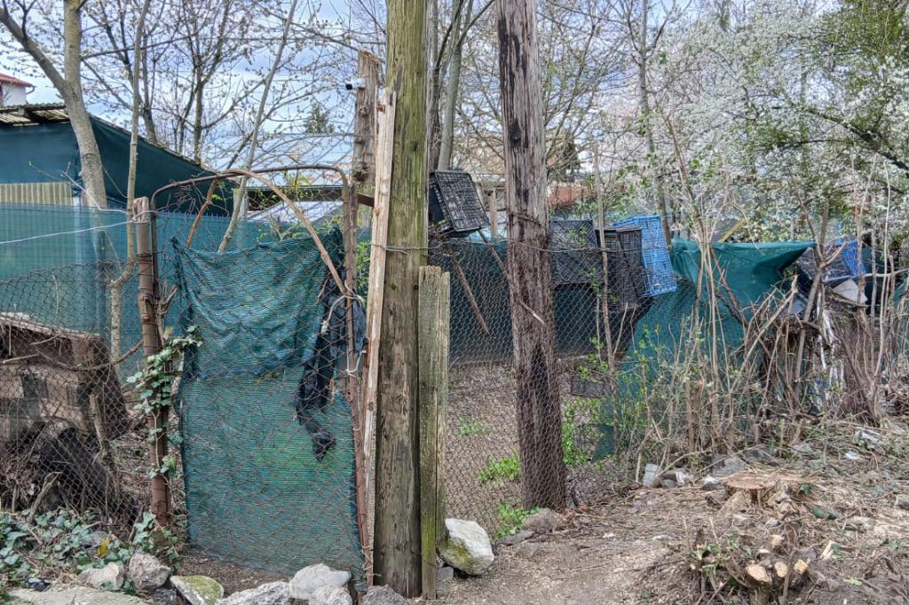 Curățenia dinaintea Sărbătorilor Pascale a scos la iveală... altă mizerie și focare de infecție!