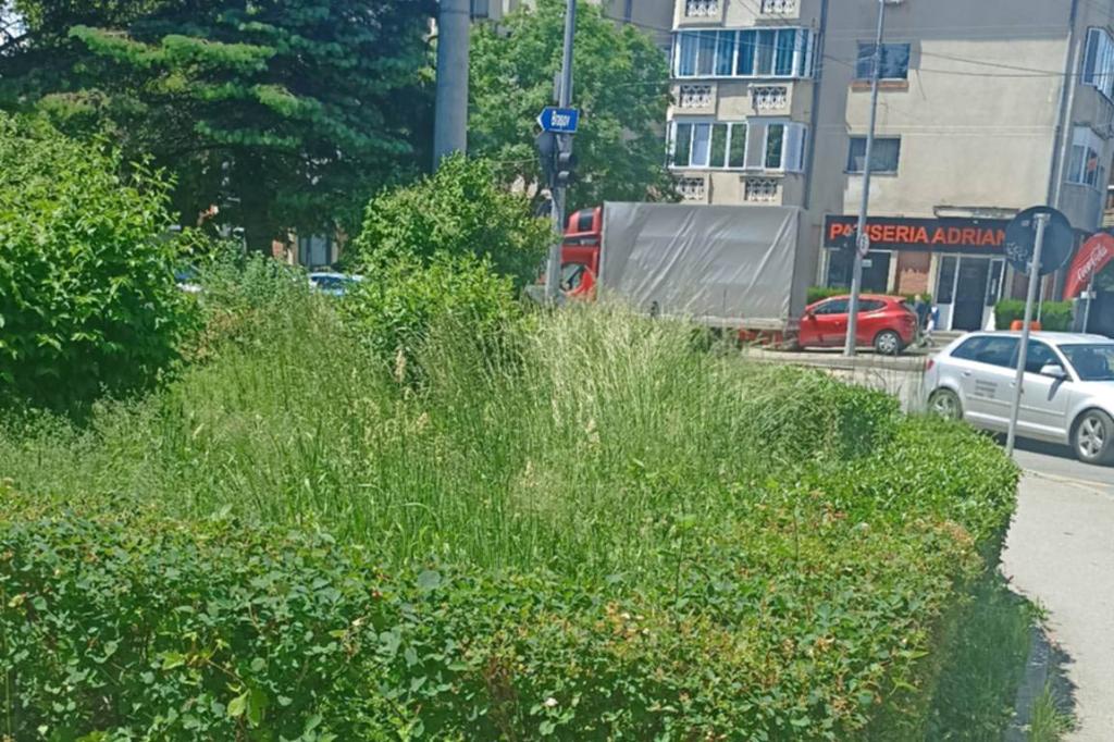 Proprietarii locuințelor, inclusiv la blocuri, au și obligații privind menținerea curățeniei spațiilor verzi și trotuarelor
