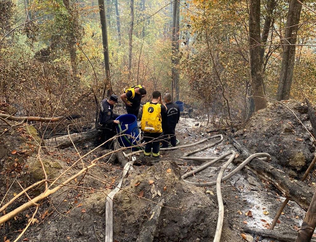 După două zile grele pentru pompieri, incendiul forestier de la Barajul Paltinu a fost stins