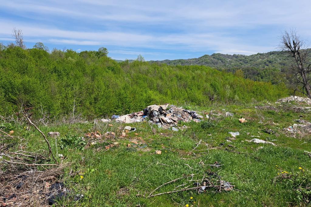 Ocolul Silvic Câmpina a reacționat la articolul privind gunoaiele din marginea pădurii din cartierul Voila. Din nou...