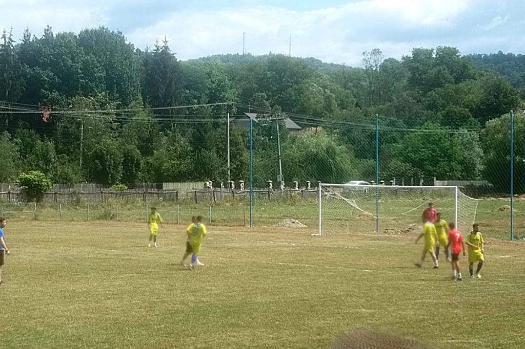 Amical. Progresul Provița de Jos - Sportul Câmpina 3-3