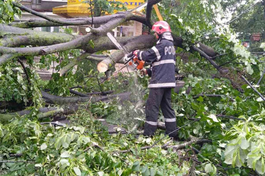 Furtună puternică la Câmpina. Mai mulți copaci au fost doborâți de vijelie pe străzile Bobâlna și Gornistului