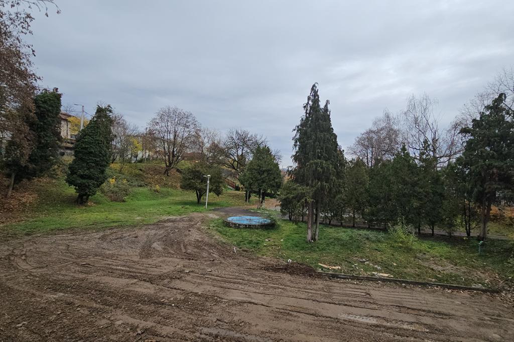 Primarul Irina Nistor: ”Parcul de pe Strada Oituz nu m-aș îndura să-l dau în concesiune. L-aș păstra la municipalitate”