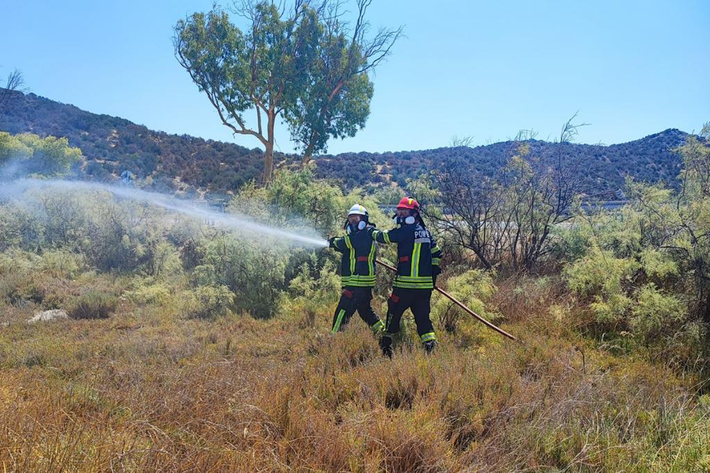 În ultimele 72 ore, pompierii prahoveni au intervenit la 16 incendii, dintre care 13 au fost incendii de vegetație uscată
