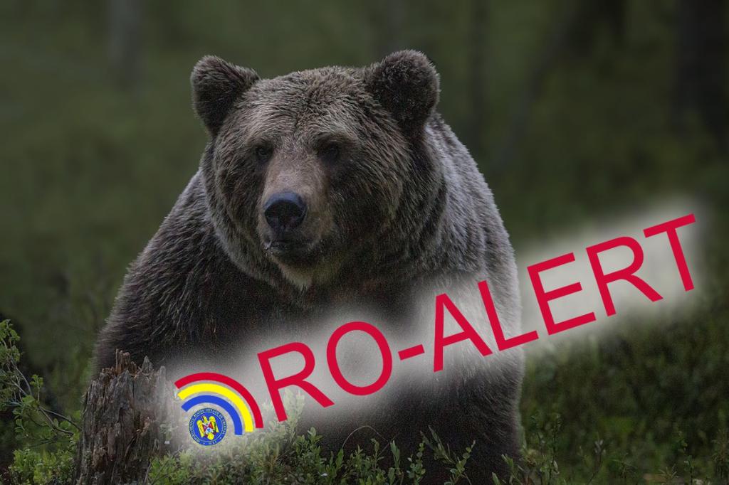 Mesaj RO-ALERT privind apariția unui urs la Cornu