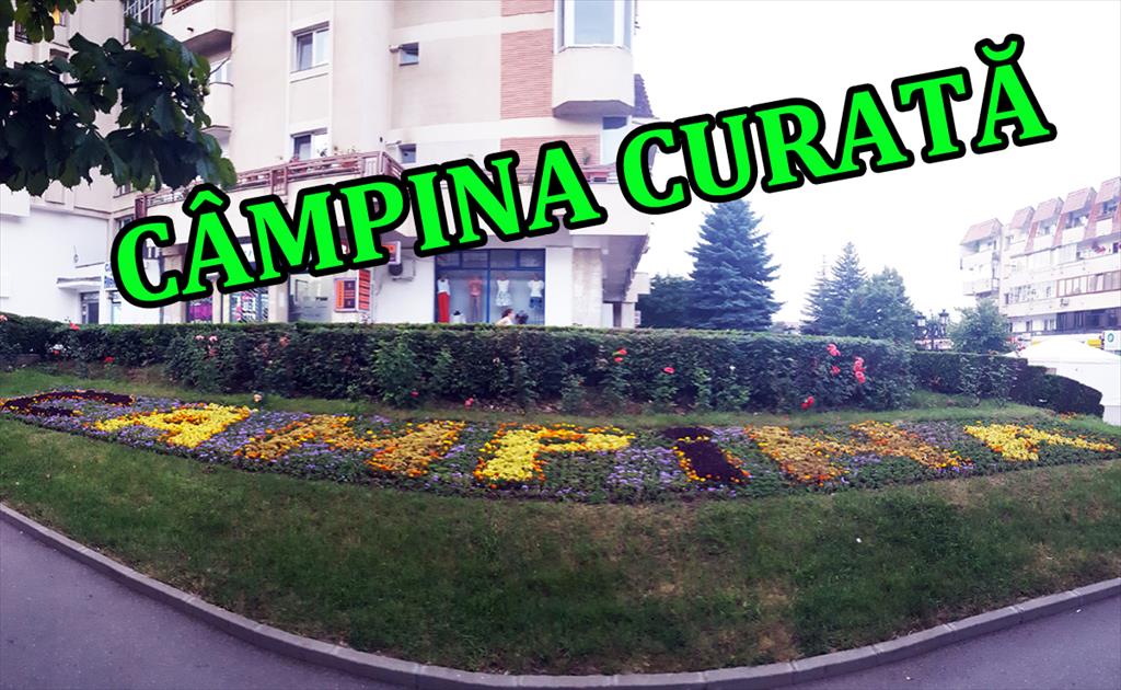 CÂMPINA CURATĂ 2018 - Campania noastră și a voastră