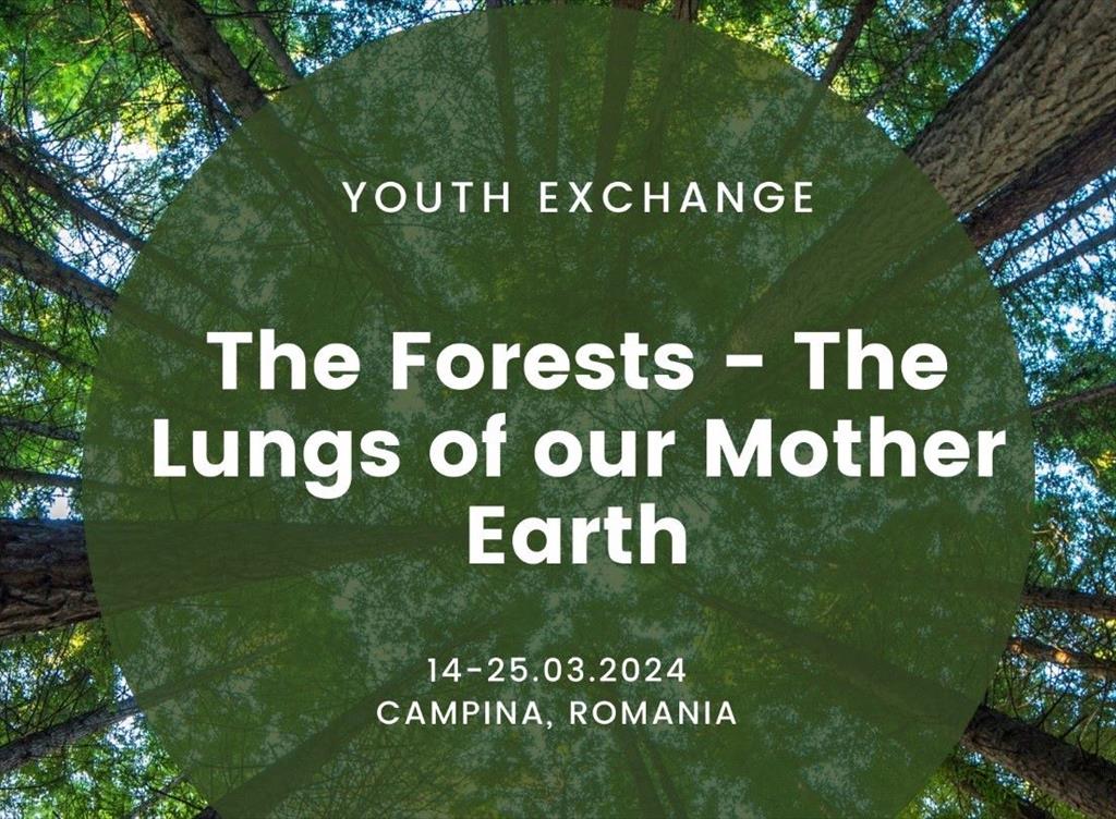 ”The Forest - The Lungs of our Mother Earth”, proiect Erasmus, derulat de Fundația Zamolxes la Câmpina