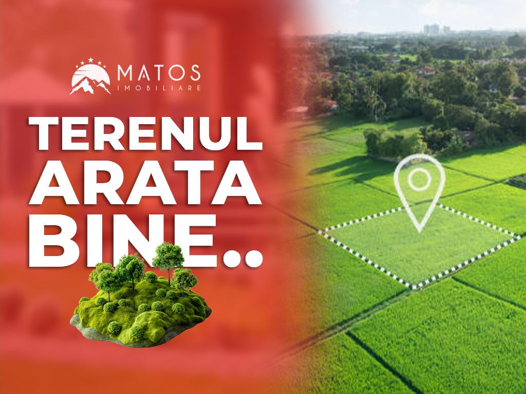 Serviciile Matos. „Un teren frumos nu valorează nimic dacă nu poți ridica ce-ți dorești”
