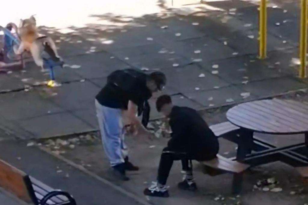 Doi tineri joacă zaruri pe bani, ziua în amiaza mare, într-un parc din centrul Câmpinei