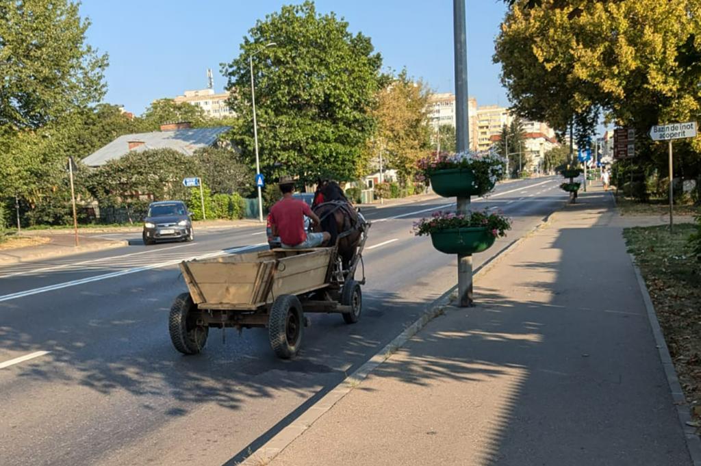 Primarul din Șotrile a solicitat anularea hotărârii prin care sunt interzise căruțele în... Câmpina!