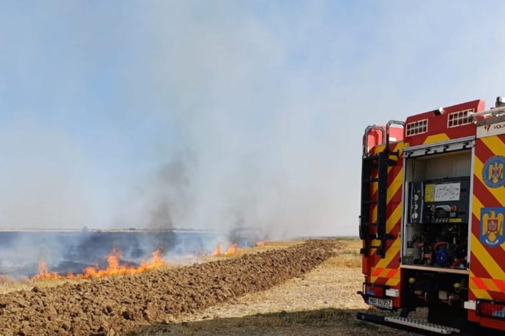 Pompierii prahoveni au intervenit la mai multe incendii de vegetație