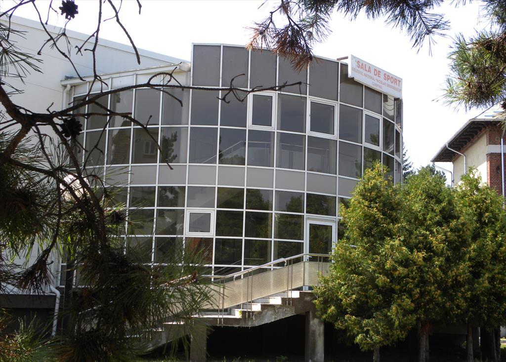 Sala „Grigorescu” din Câmpina va găzdui Cupa „24 Ianuarie” la minihandbal feminin