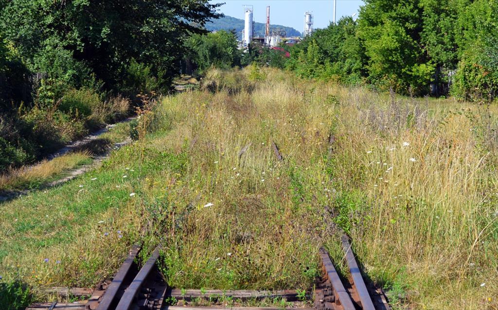 Câmpinenii întreabă... primarul răspunde. „Pentru a transforma terenurile cu cale ferată din Câmpina în piste de biciclete, ducem o luptă cu statul român!”