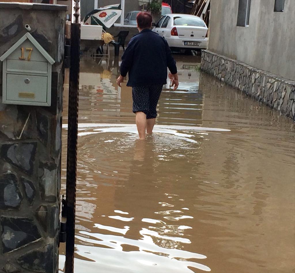 Potop la Poiana Câmpina. Curți și străzi inundate în satele Pietrișu și Bobolia