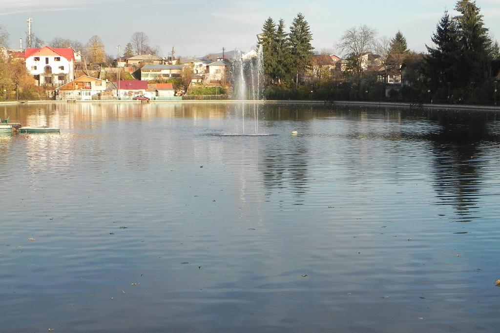 Poliția Locală a depistat și sancționat un câmpinean care deversa deșeuri lichide în Lacul Bisericii