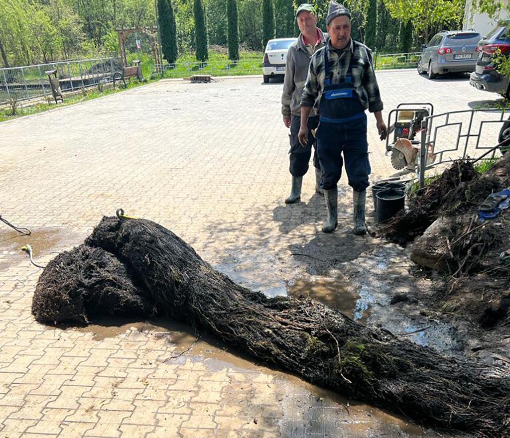 O salcie, ”vinovată” de inundațiile de la Lacul Curiacul din Câmpina