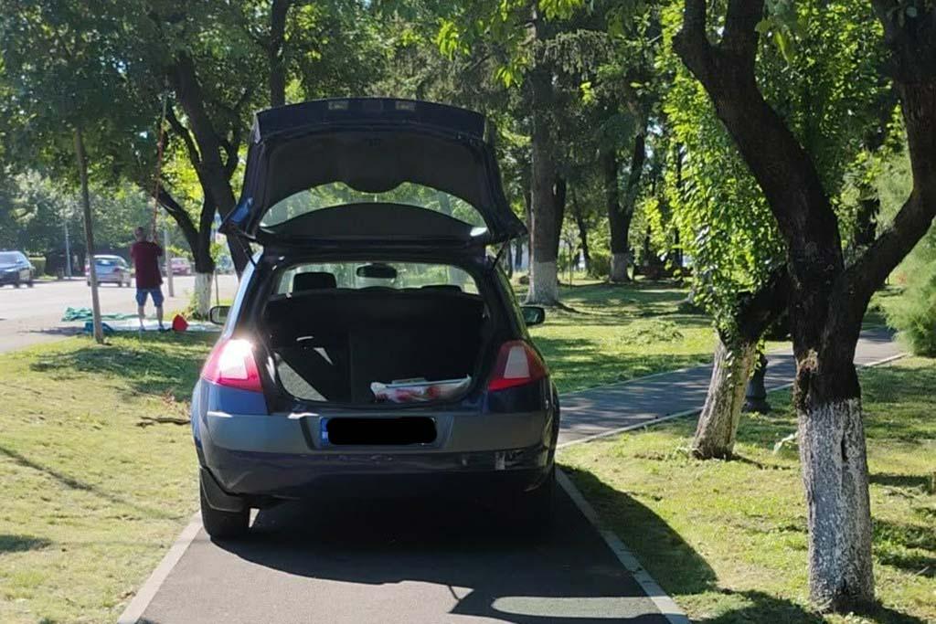 Cu mașina, la cules de zarzăre într-un parc din Câmpina!